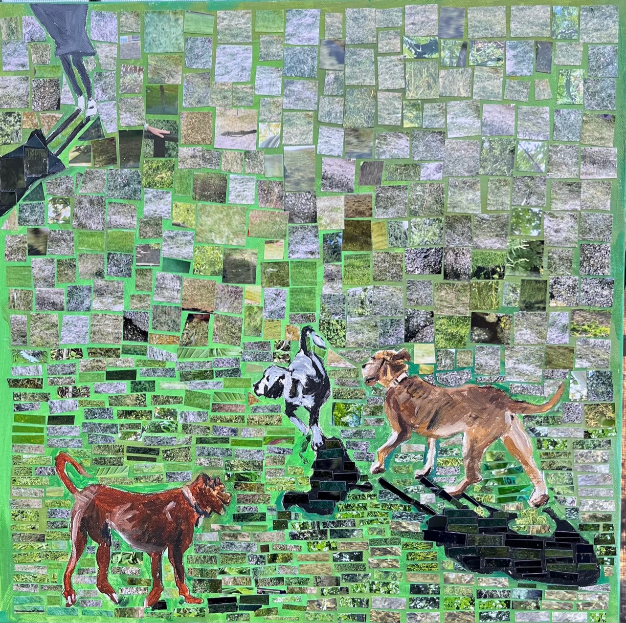 Click here to view Animal artwork by Anna Jewel Gove